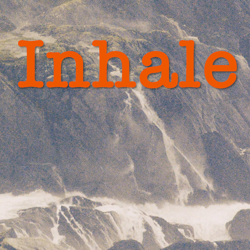 IN HOUSE - Michelle Deignan